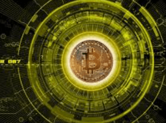 The Psychology of Crypto Investors